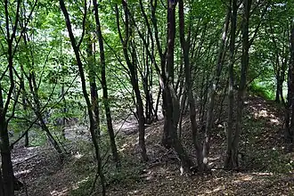 Западный вал замка