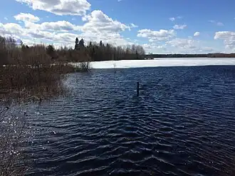 Озеро близ деревни Машезеро.