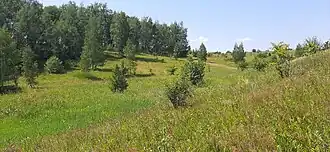 Местность, где располагалась деревня