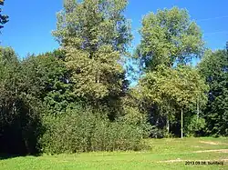 Место, где стоял костёл Святой Троицы