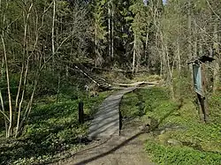 Место истока Лопухинки из родников в начале экотропы