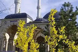 Мечеть в Гехи