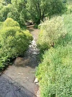 Мизгея у трассы Белёв — Тула