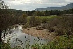 Миселя на фоне Инзерских зубчаток