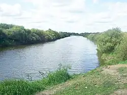 Низовье Могочи около устья