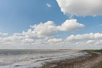 Северо-восточная часть Молочного лимана: возле села Гирсовка