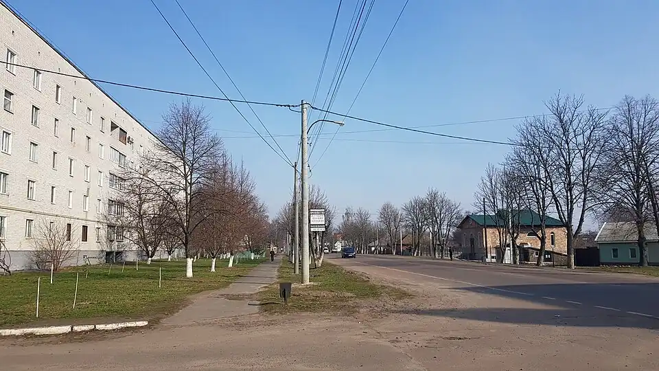 конец улицы: перекрёсток с улицами Брюховца и Амосова