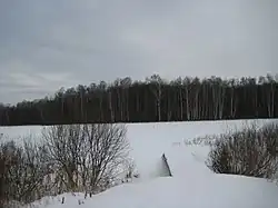 Лыжный мостик через Воронку в Ясной Поляне зимой