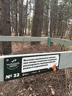 Ограждение вокруг муравейника и табличка, установленные сторонниками сохранения бора