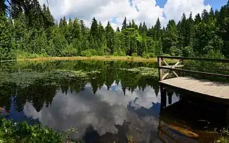 Озеро летом 2016 года