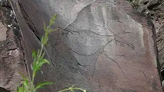 Изображение лося