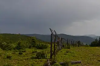 Украинско-румынская граница на горе