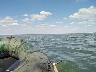 На озере Токтас летом 2022 года