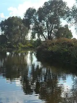 Центральный пруд деревни Новое Климово — запруда у истока речки Урюм (лето 2012)