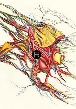 Обложка первого американского издания