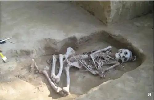 Погребение № 3. Одиночное китойское захоронение (раскопки 2007—2008 годов)