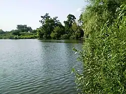 «Нижнесульский»