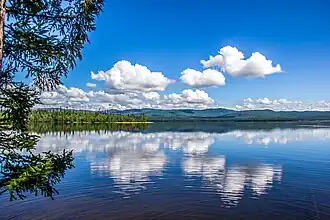 Вид на озеро летом 2016 года