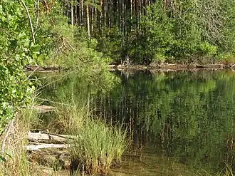 Восточное побережье озера летом 2015 года