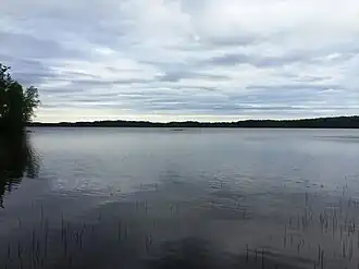 Виз с южного берега