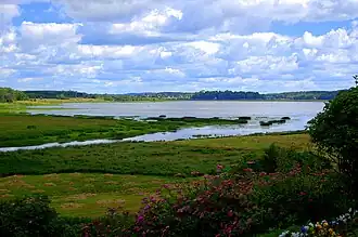 Озеро Кучане. Вид из Михайловского