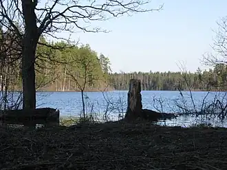 Вид на юго-западную часть озера Охват с южного побережья весной 2013 года