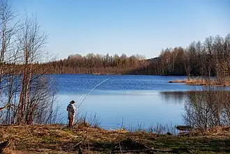 Вид на озеро Полевское с северного берега