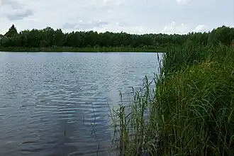 Вид на озеро Столбище с северо-восточного берега летом 2018 года