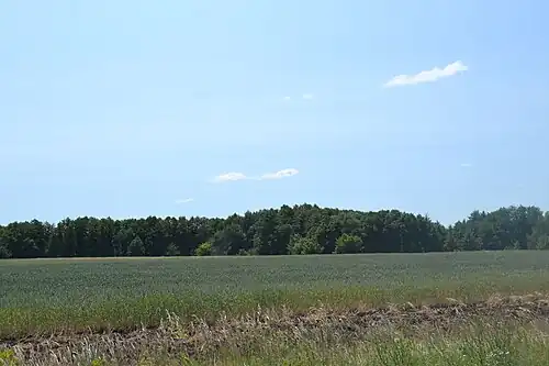 Окрестный пейзаж