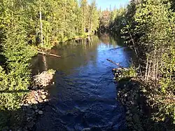 Вид против течения