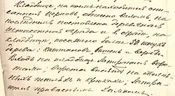 Описание кладбища 1881 г.