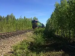 Разобранный боковой путь. Вид в сторону ст. Пийтсиёки.