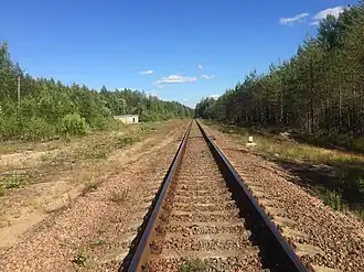Вид в сторону ст. Лодейное Поле