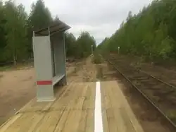 Вид в сторону ст. Брусничная.