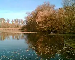 Нижнее течение Идолги в Озёрном осенью