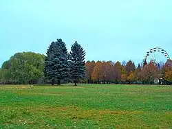 Осенью в парке