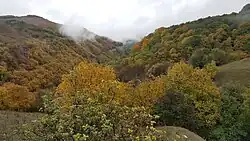 ущелье реки Тумсой-Эрк осенью