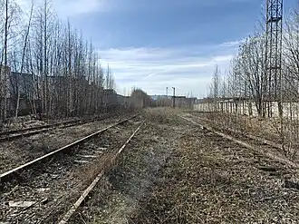 Вид станционных путей