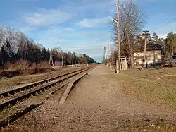 Восточная багажная платформа.