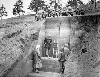 С. М. Цейтлин изучает разрез отложений стоянки Ошурково