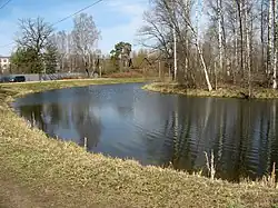 Круглый пруд и улица