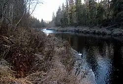 река Паденьга в верхнем течении