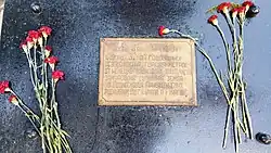 Табличка над капсулой