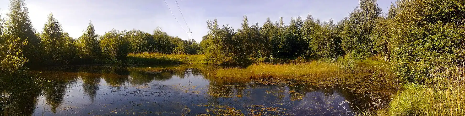 Панорама пожарного водоёма, вырытого  на территории садоводства «Пламя» в конце 1980-х годов. Отрытый водоём пресёк старую «царскую дорогу» по которой двигалась колонна немецких танков в сторону Больших Борниц 20 августа 1941 года