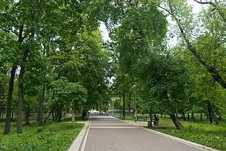 одна из аллей парка