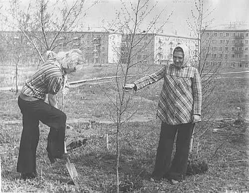 Посадка деревьев сотрудниками Кировского текстильного комбината