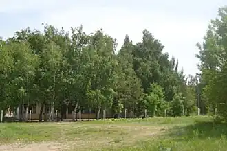 Школьный парк