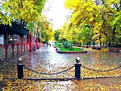 Городской парк осенью 2012 года