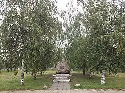 Дружный. Валун с памятной табличкой: "Улица названа в честь Героя Советского Союза, воина-интернационалиста гвардии, старшего сержанта Николая Чепика"