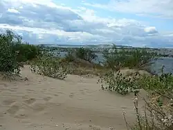 Один из диких пляжей